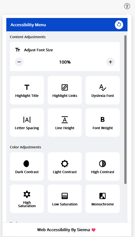 Figure 1: Accessibility panel – available display options